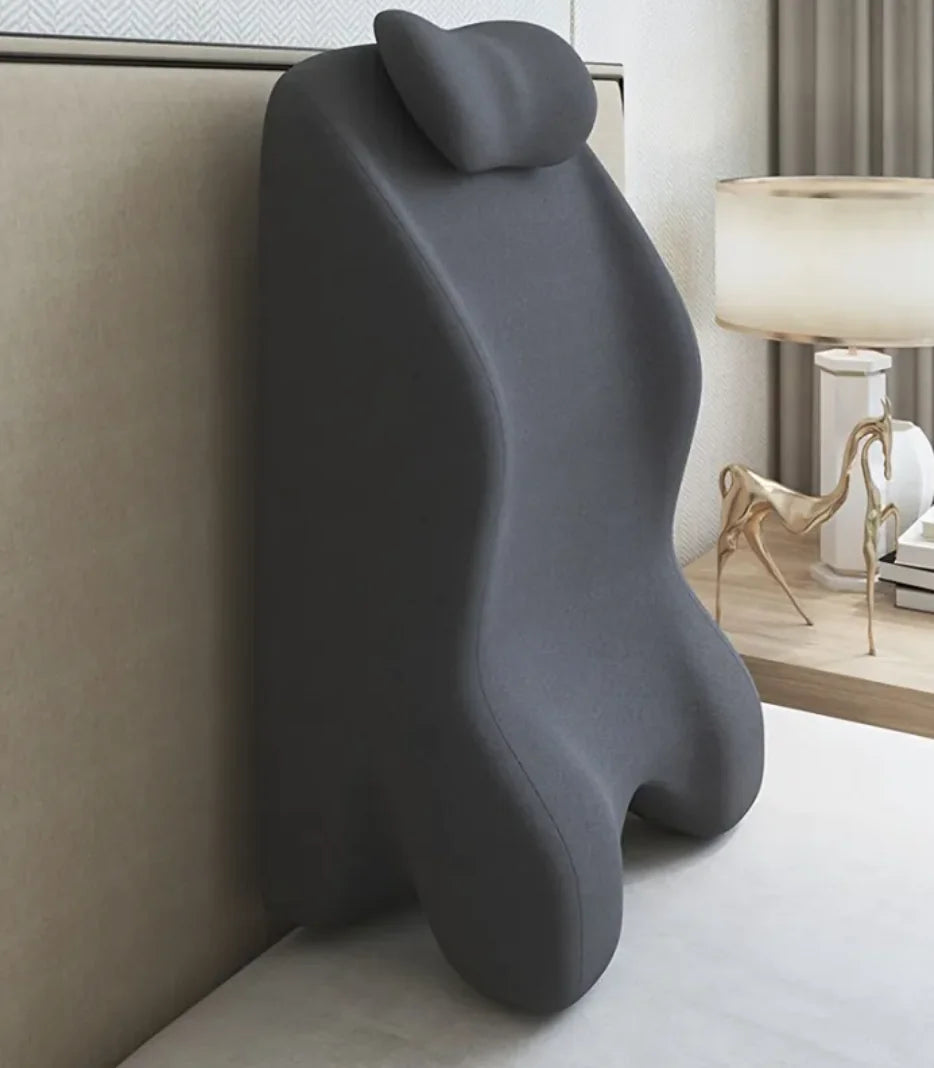 Premium Washable Pillow Case